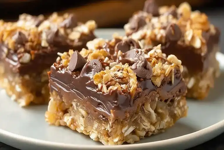 chocolate-oat-bars